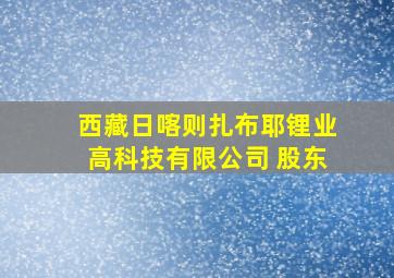 西藏日喀则扎布耶锂业高科技有限公司 股东